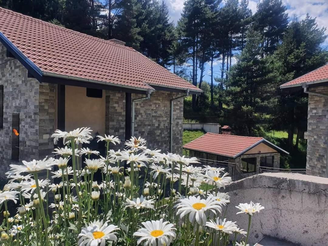 Ваканционна Къща ,,Родопски Уют " Dospat Habitación foto
